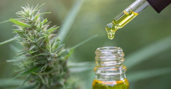 מושג שמן CBD